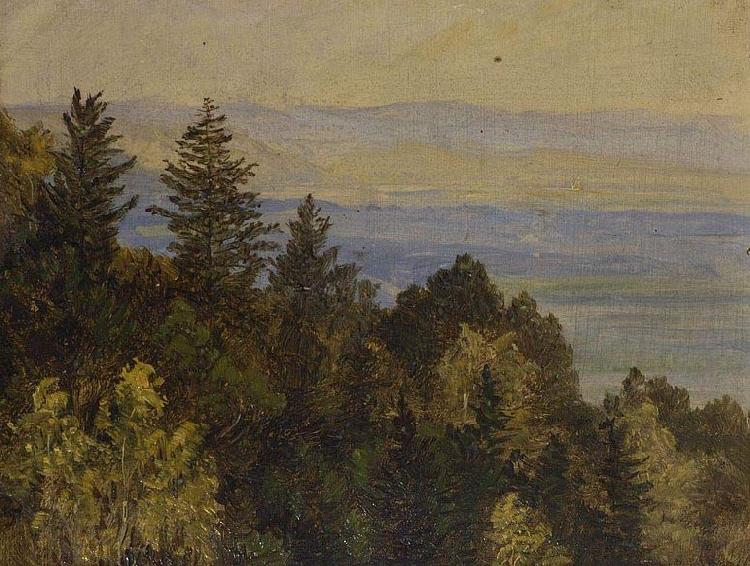 Carl Gustav Carus Blick uber einen bewaldeten Abhang in weite Gebirgslandschaft Germany oil painting art
